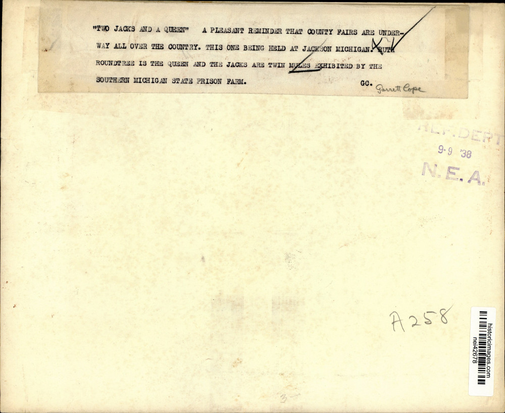 Image2