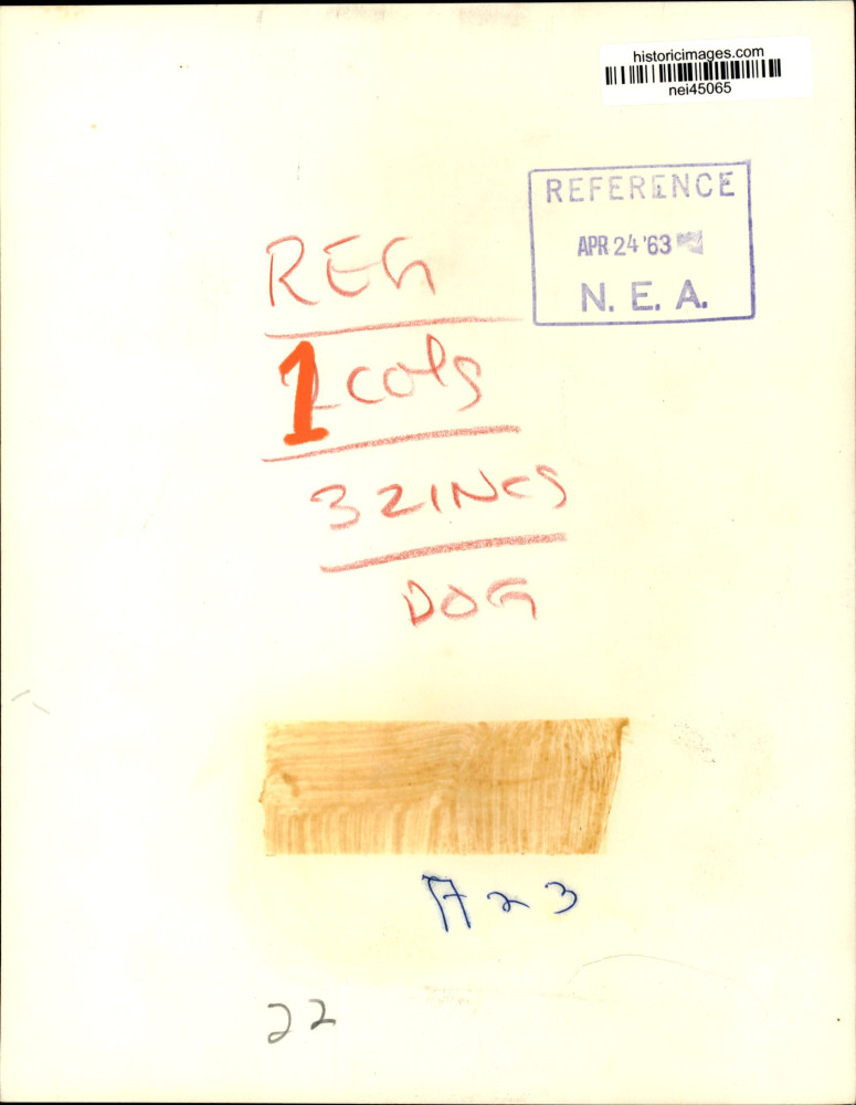 Image2
