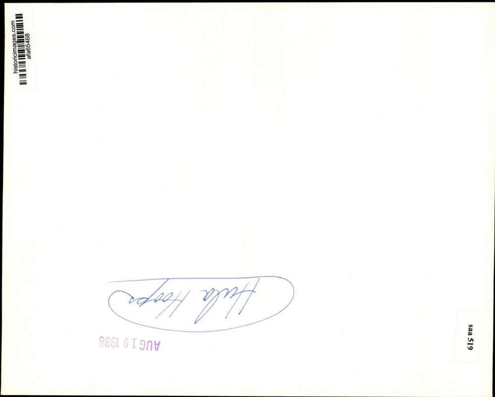 Image2