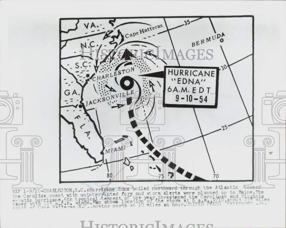 Image1