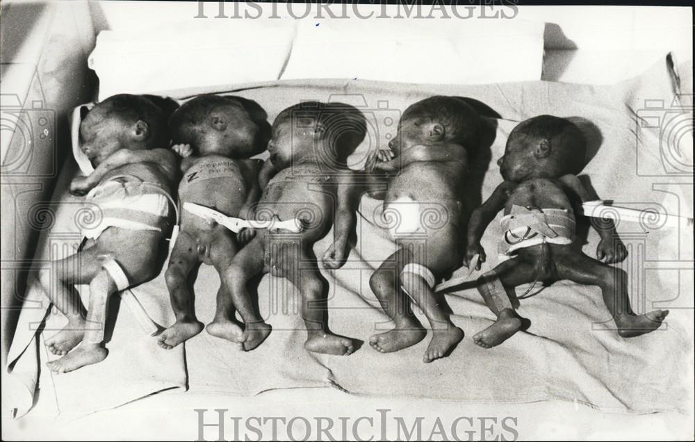Press Photo Five Infants Die Shortly After Their Birth KSG05461 eBay
