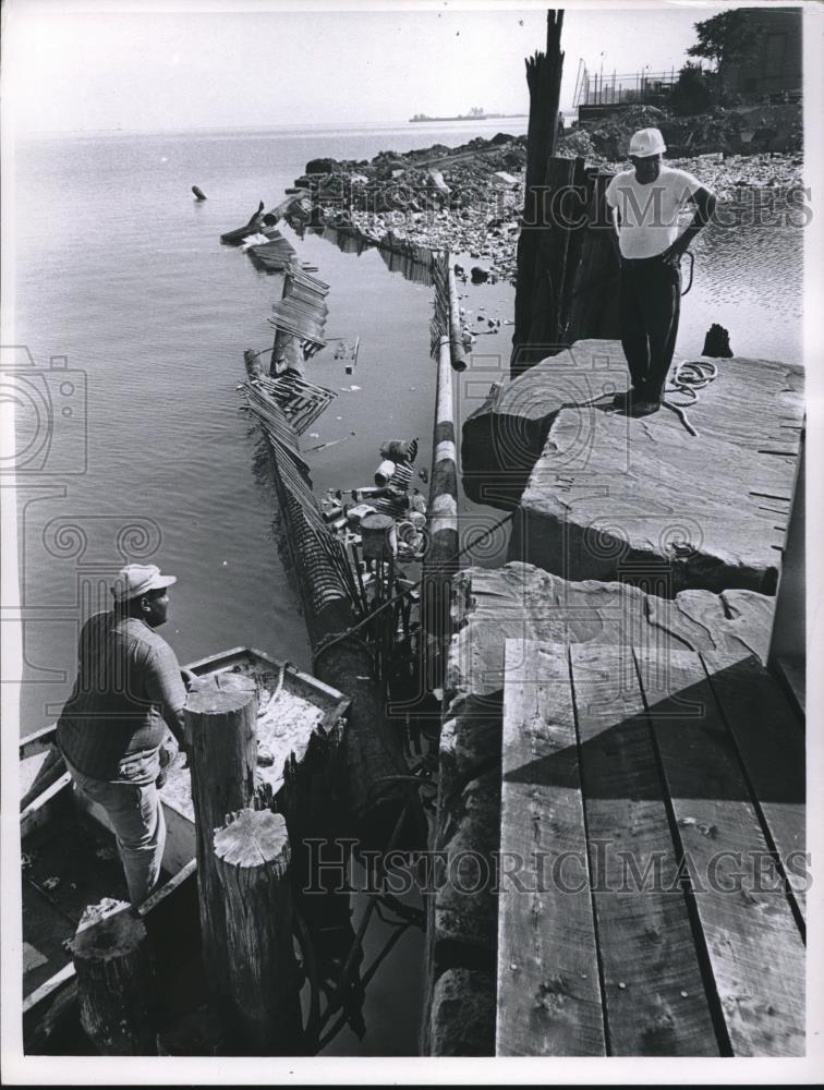 Image1