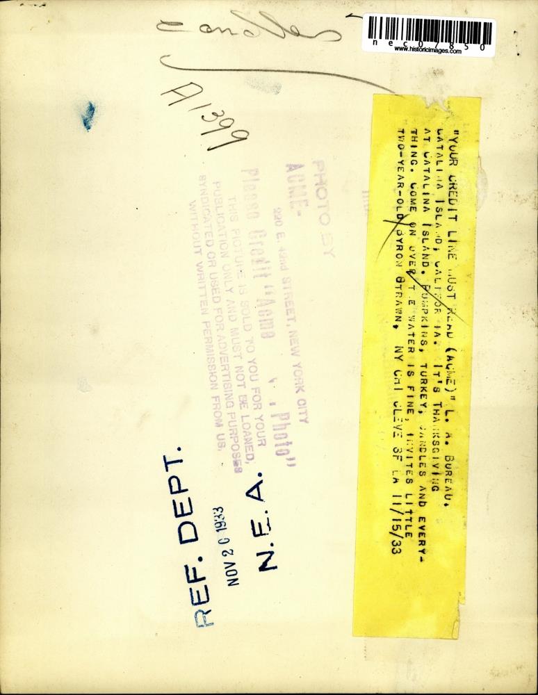 Image2