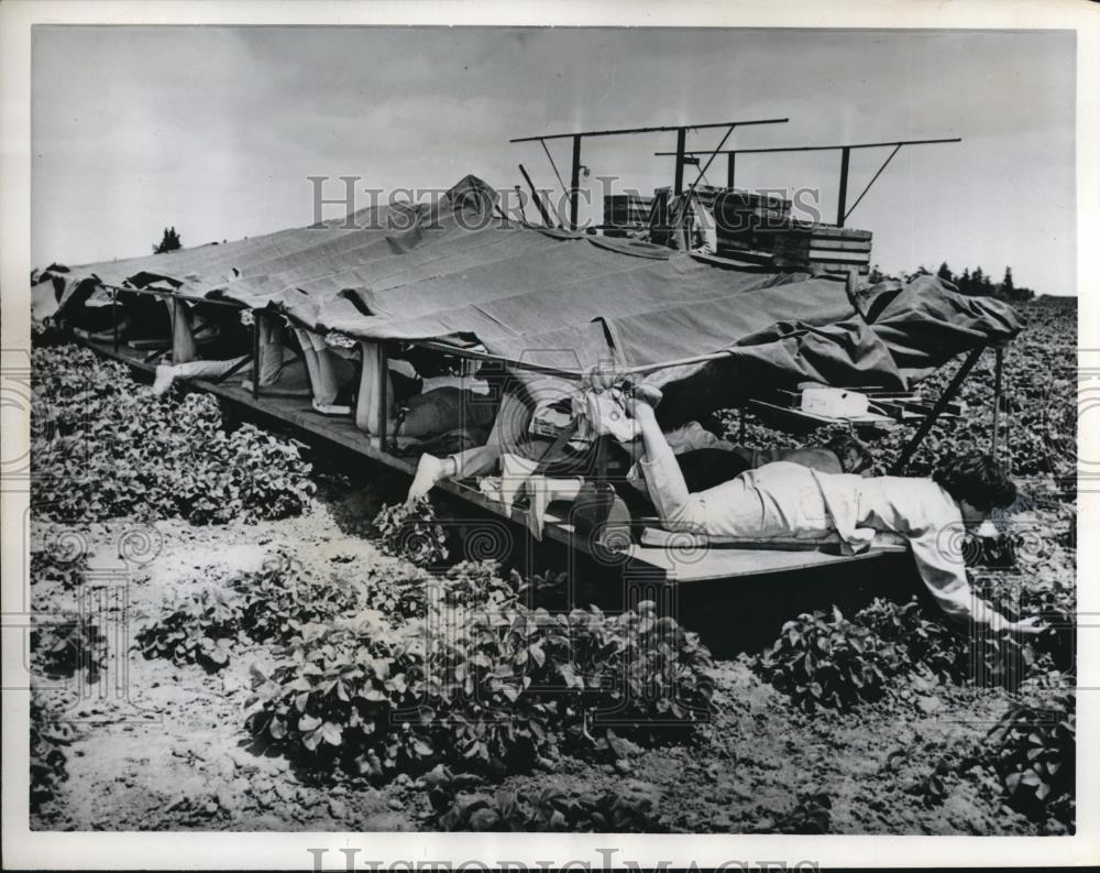 Image1