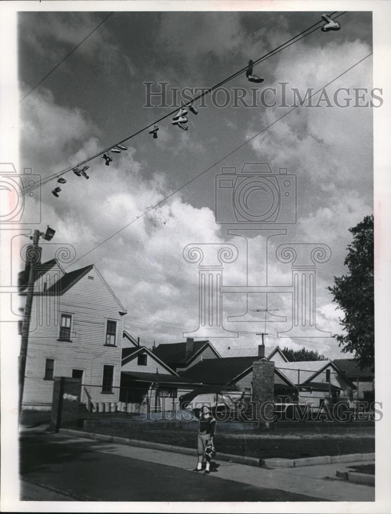 Image1