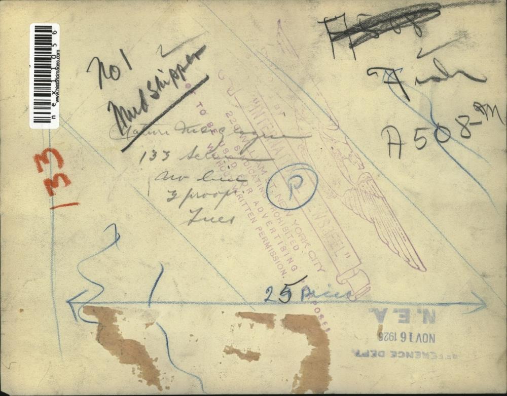 Image2