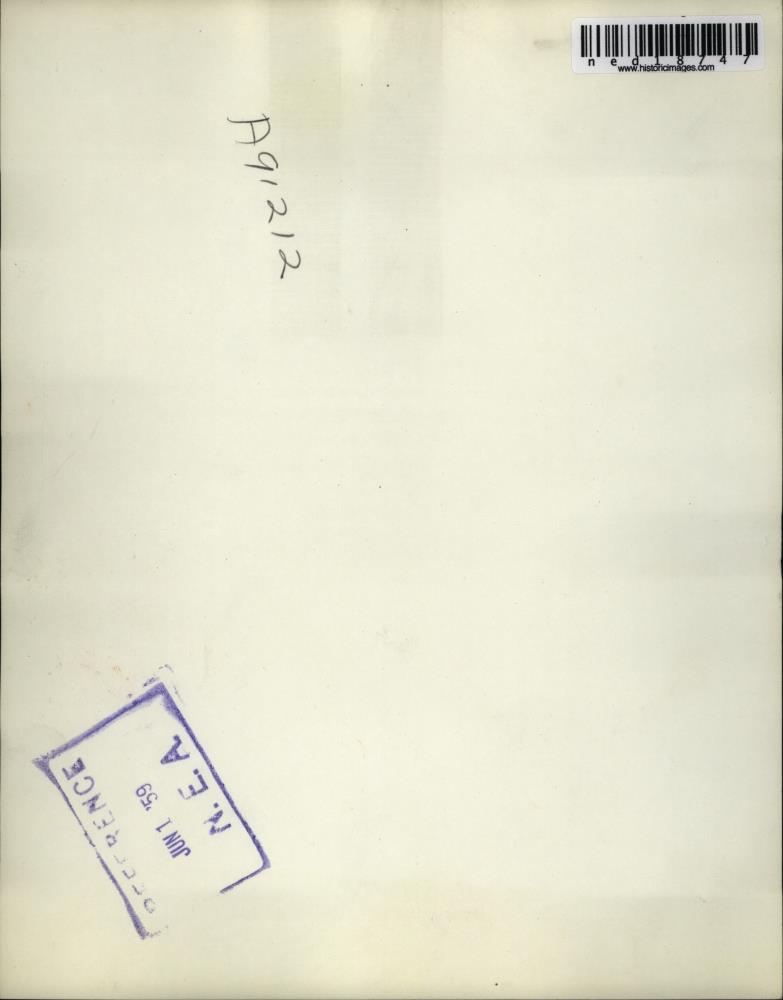 Image2