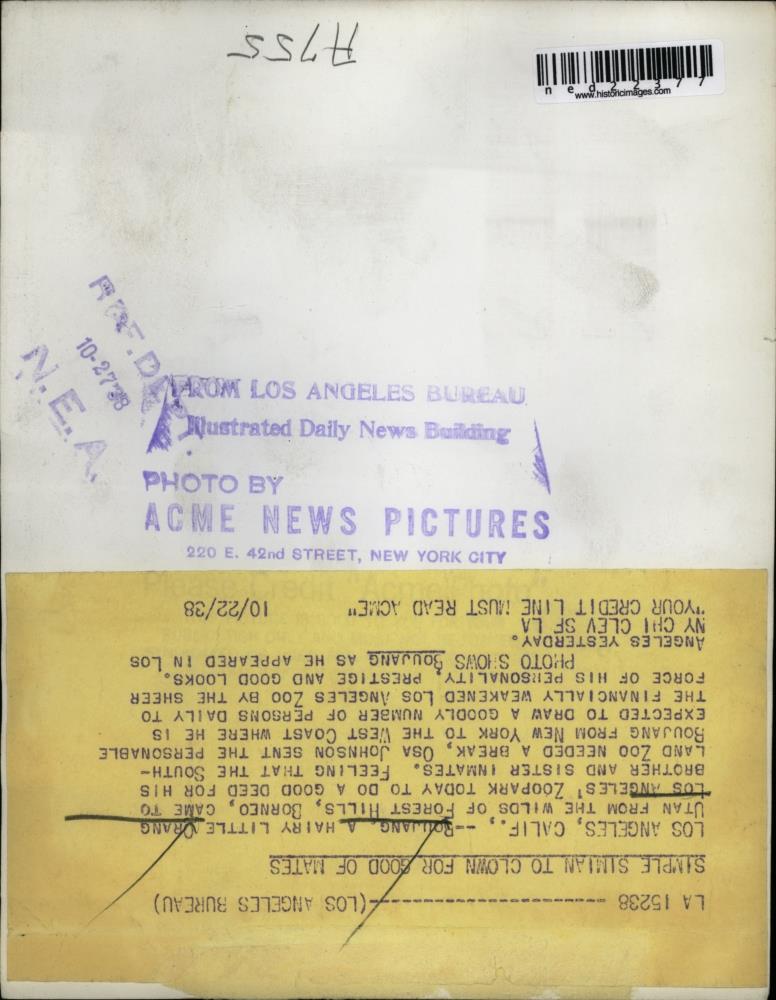 Image2