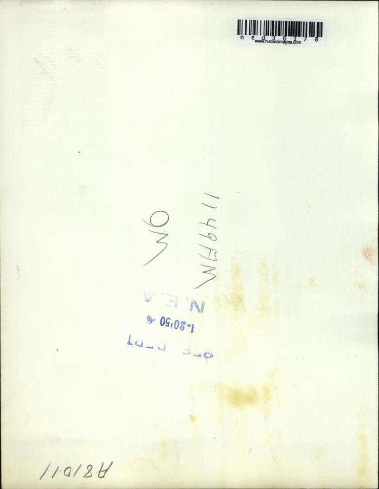 Image2