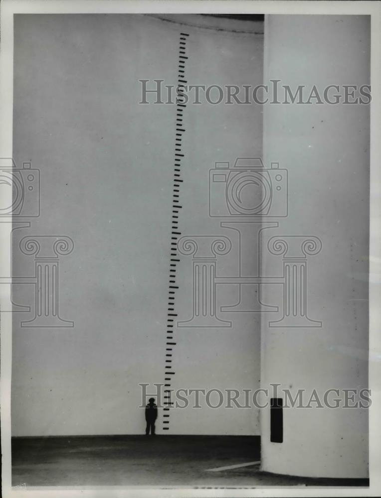Image1
