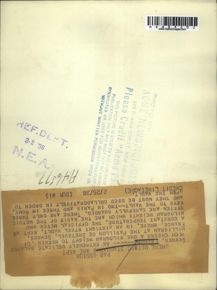 Image2