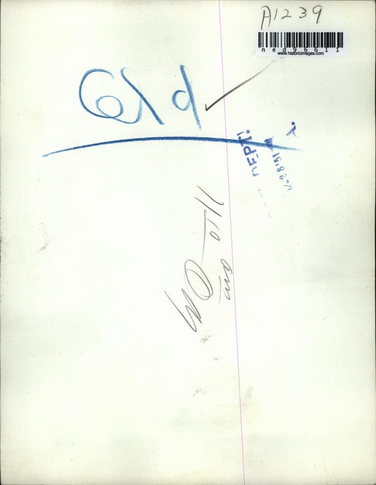 Image2