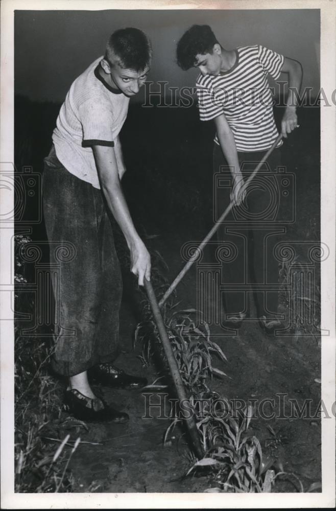 Image1
