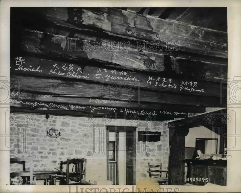 Image1