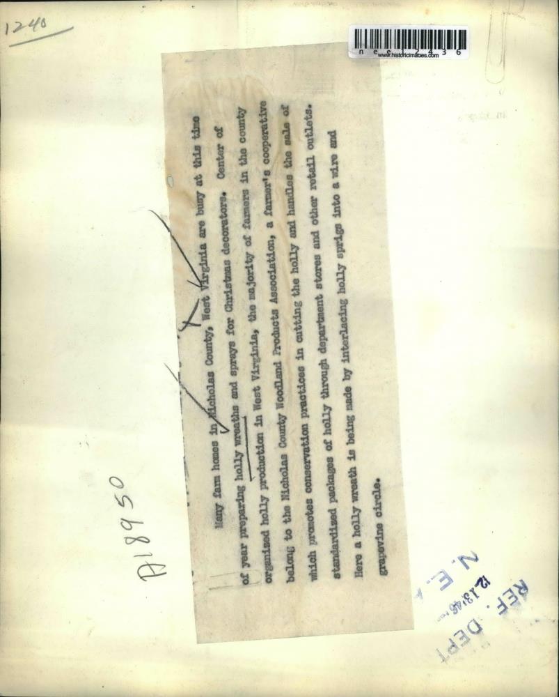 Image2