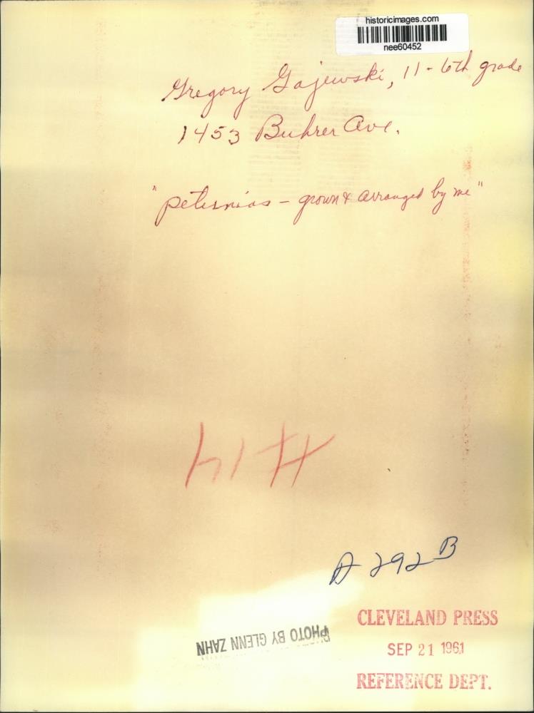 Image2
