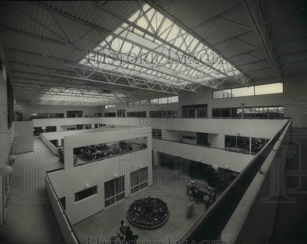 Image1