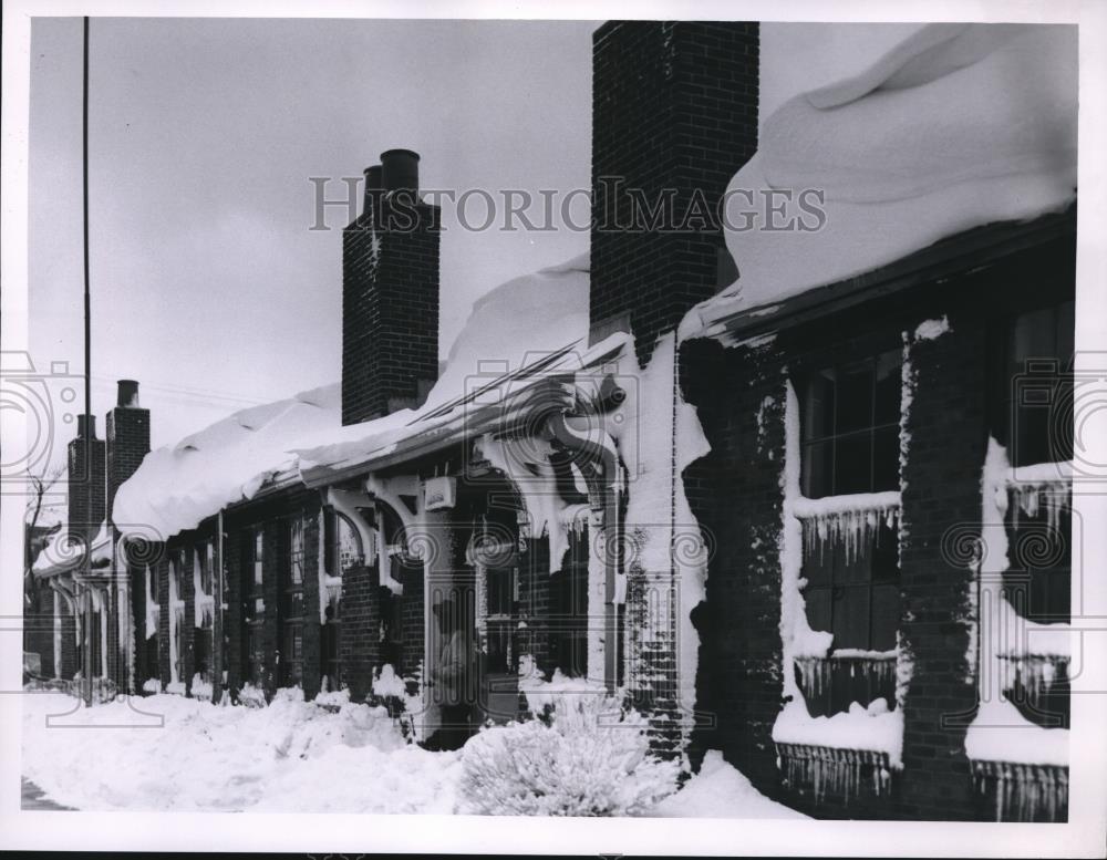 Image1