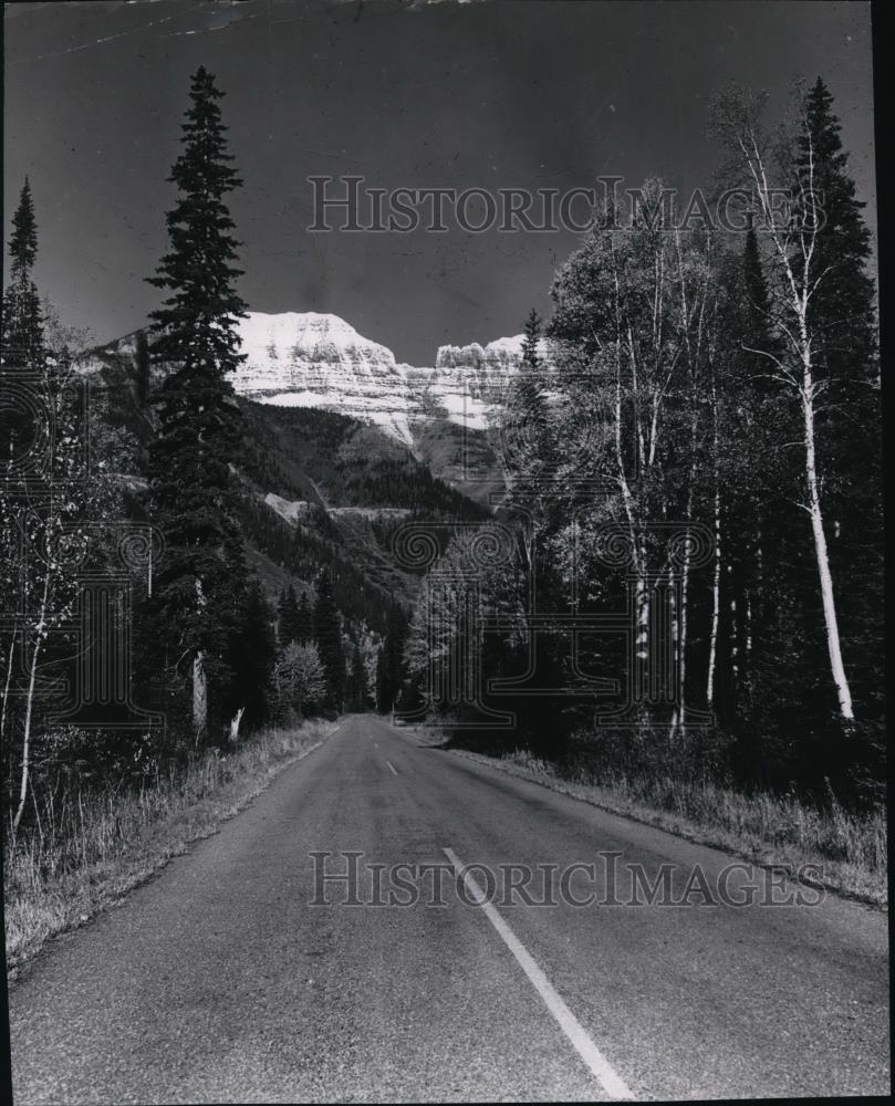 A767 9//11 Never Forget Twin Towers 8x10 Beautiful Photo Print Wall Art Decor