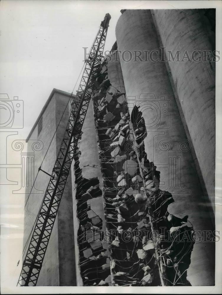 Image1