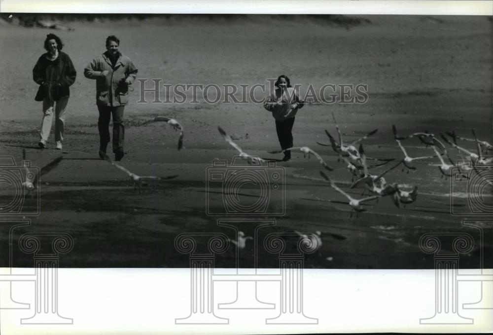 Image1