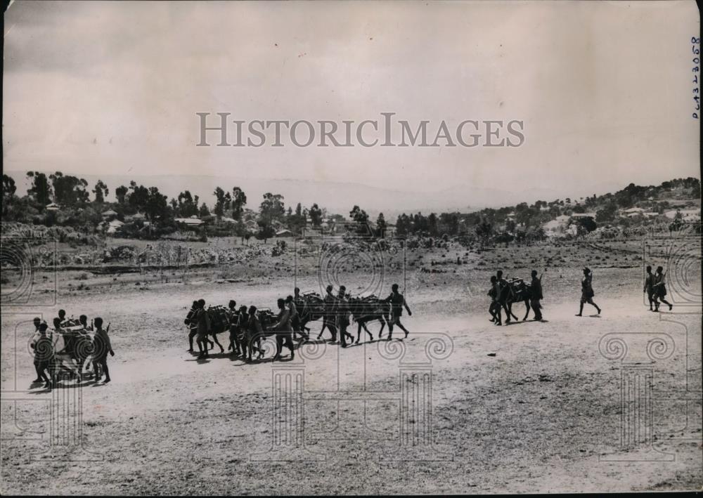 Image1