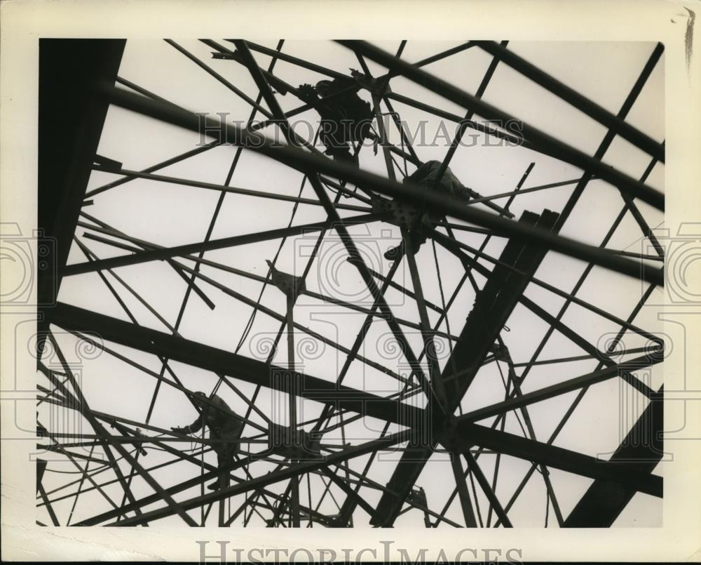 Image1