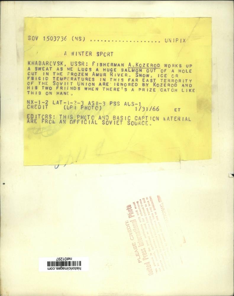 Image2