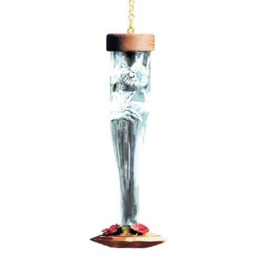 Schrodt Decorative Glass Paradise Crystal Lantern Hummingbird