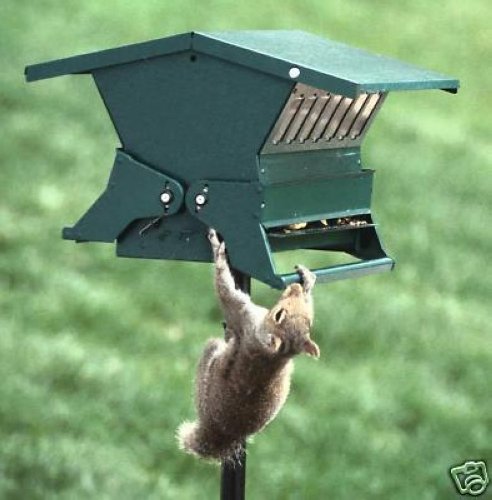 Absolute Ii Squirrel Proof Bird Feeder Heritage Farms 7536 W Pole