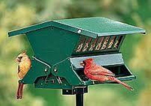 Absolute Ii Squirrel Proof Bird Feeder Heritage Farms 7536 W Pole