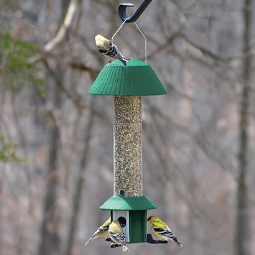 Squirrel Defeater Squirrel Proof Bird Feeder Songbird Essentials