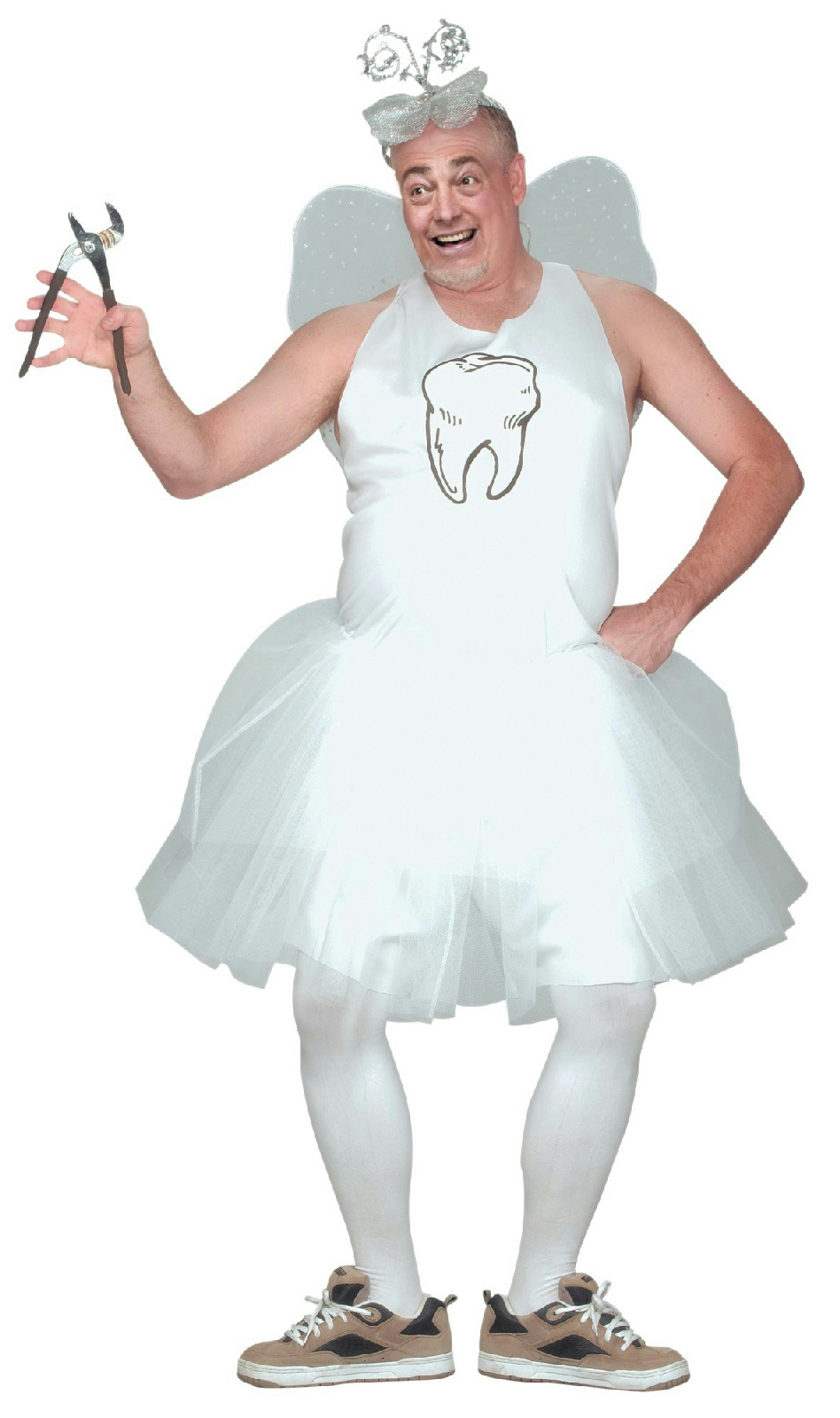 fairy princess costume adults