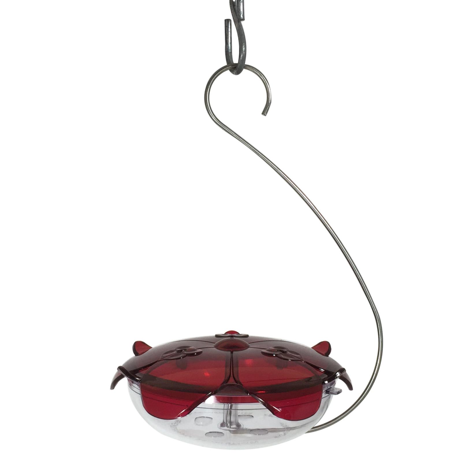 Droll Yankees Ruby Sipper Hummingbird Feeder Clear Dyrs3hc