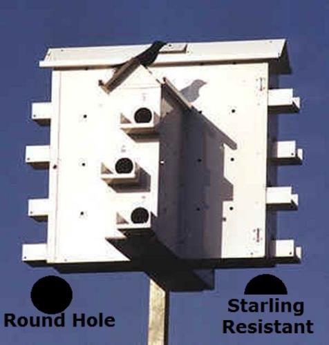 LONESTAR PURPLE MARTIN HOUSE GOLIAD JR 8 ADD A FLOOR WITH CRESCENT DOORS