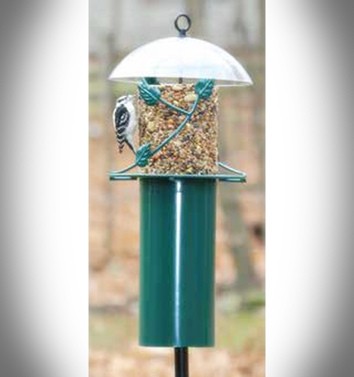 Birds Choice Pole Mounted Seed Cylinder Bird Feeder With Squirrel