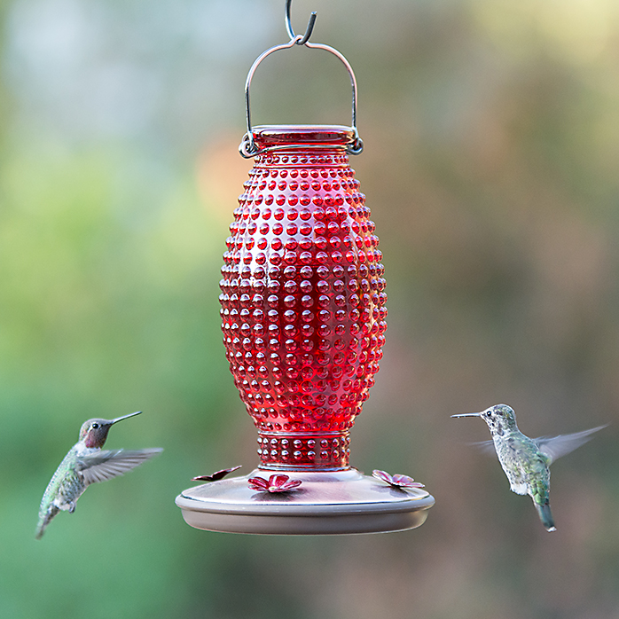 Perky Pet Red Hobnail Vintage Glass Hummingbird Feeder 8130 2