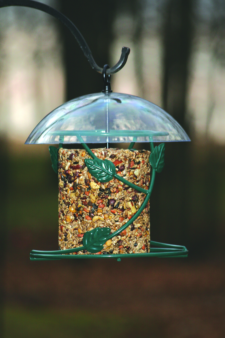 Birds Choice Decorative Ivy Hanging Seed Cylinder Bird Feeder SCF