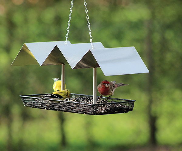 Pinebush Metallic Wave Platform Bird Feeder Pine10067