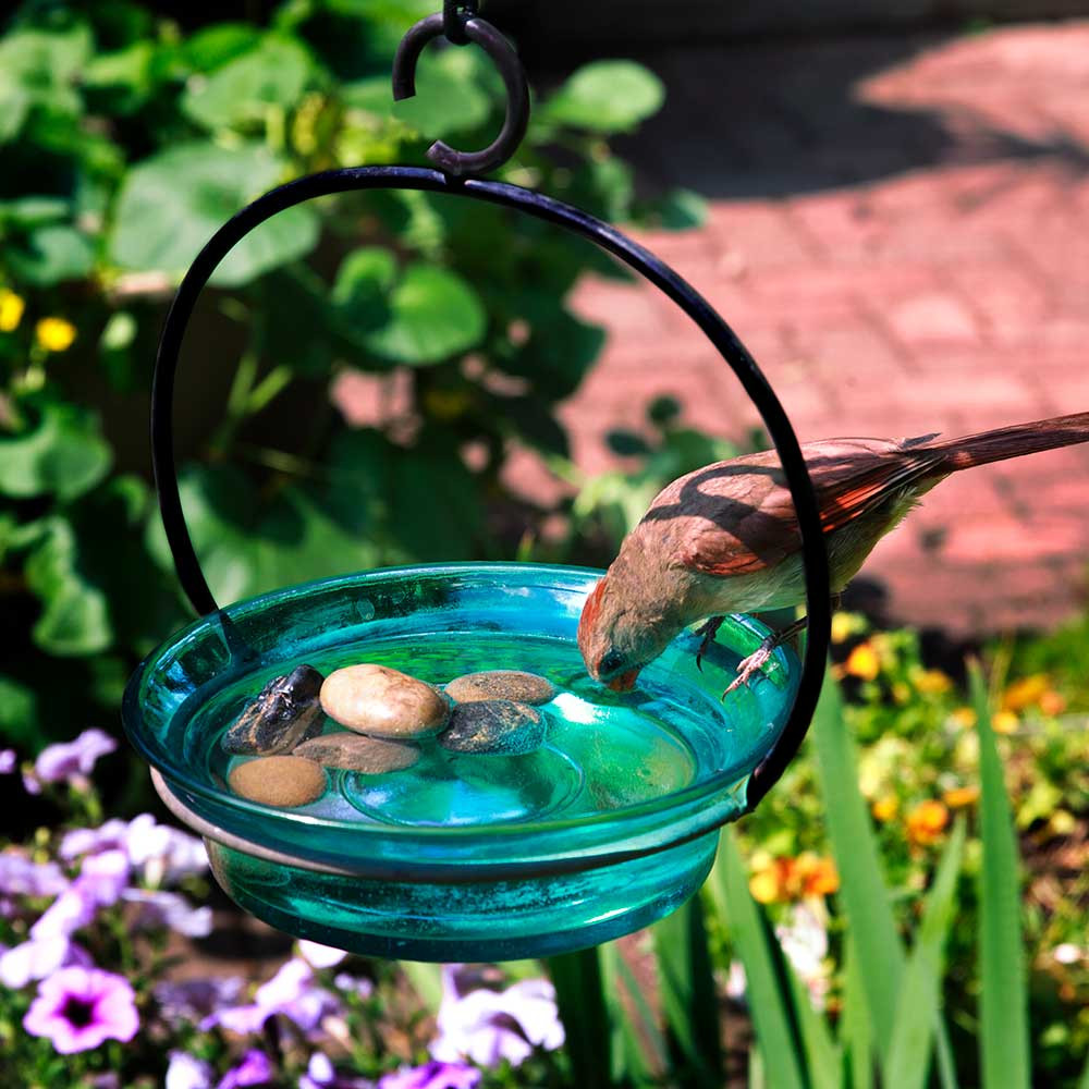 Couronne Co Aqua Cuban Bowl Hanging Birdbath And Bird Feeder