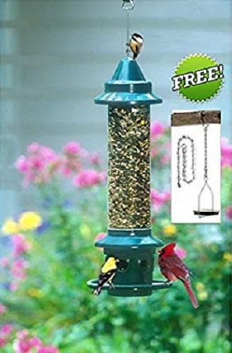 Squirrel Bird Locking Squirrel Free Proof Buster Bird Chain Plus