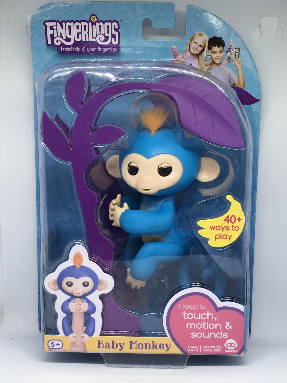 blue fingerling monkey