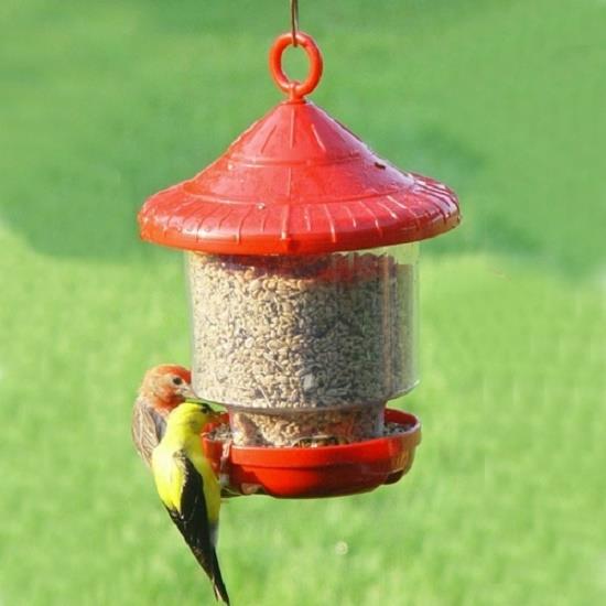 Songbird Essentials Clingers Only Bird Feeder In Red Se7013 Ebay