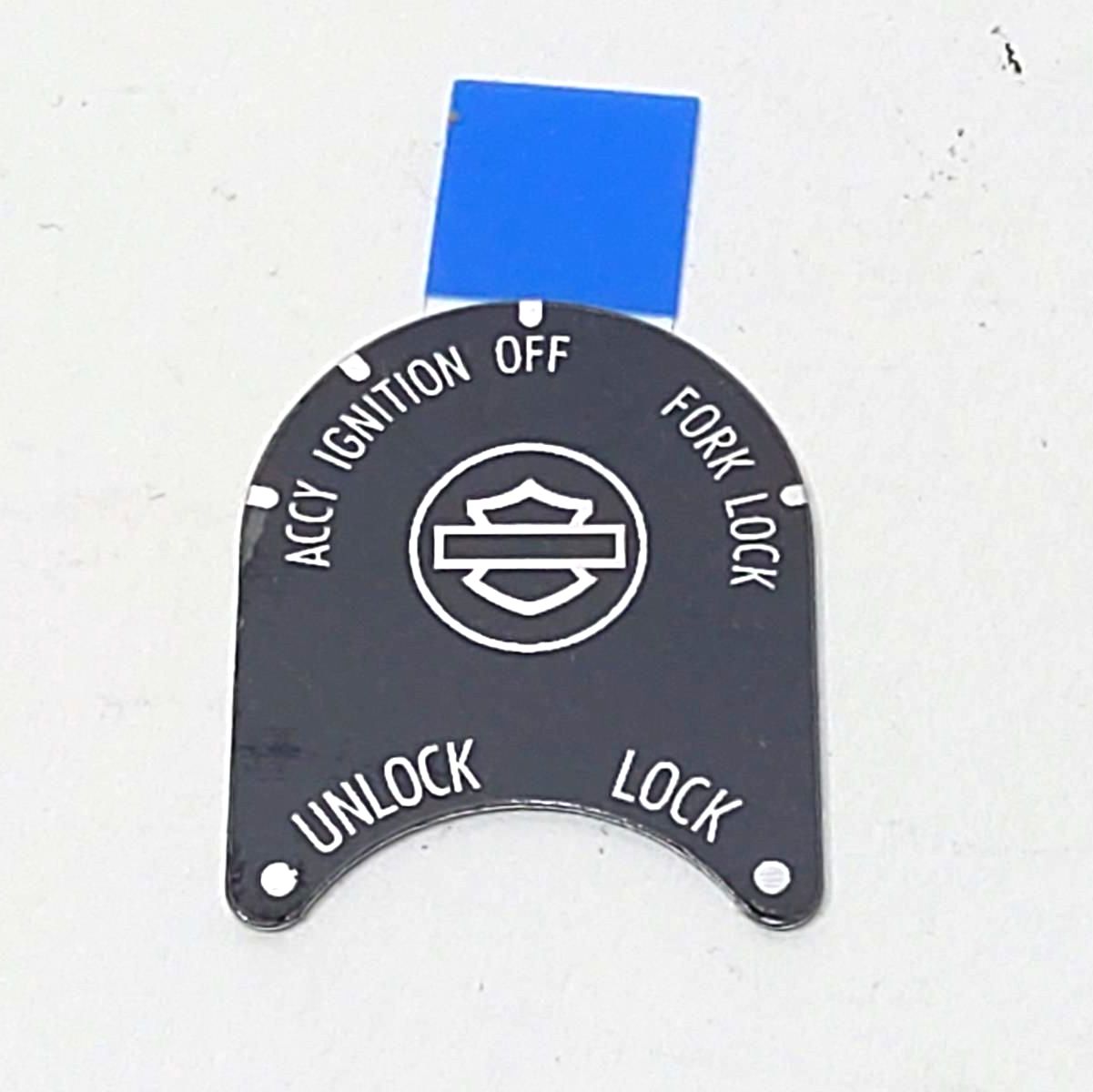 キハダ sar 50140057.jpg