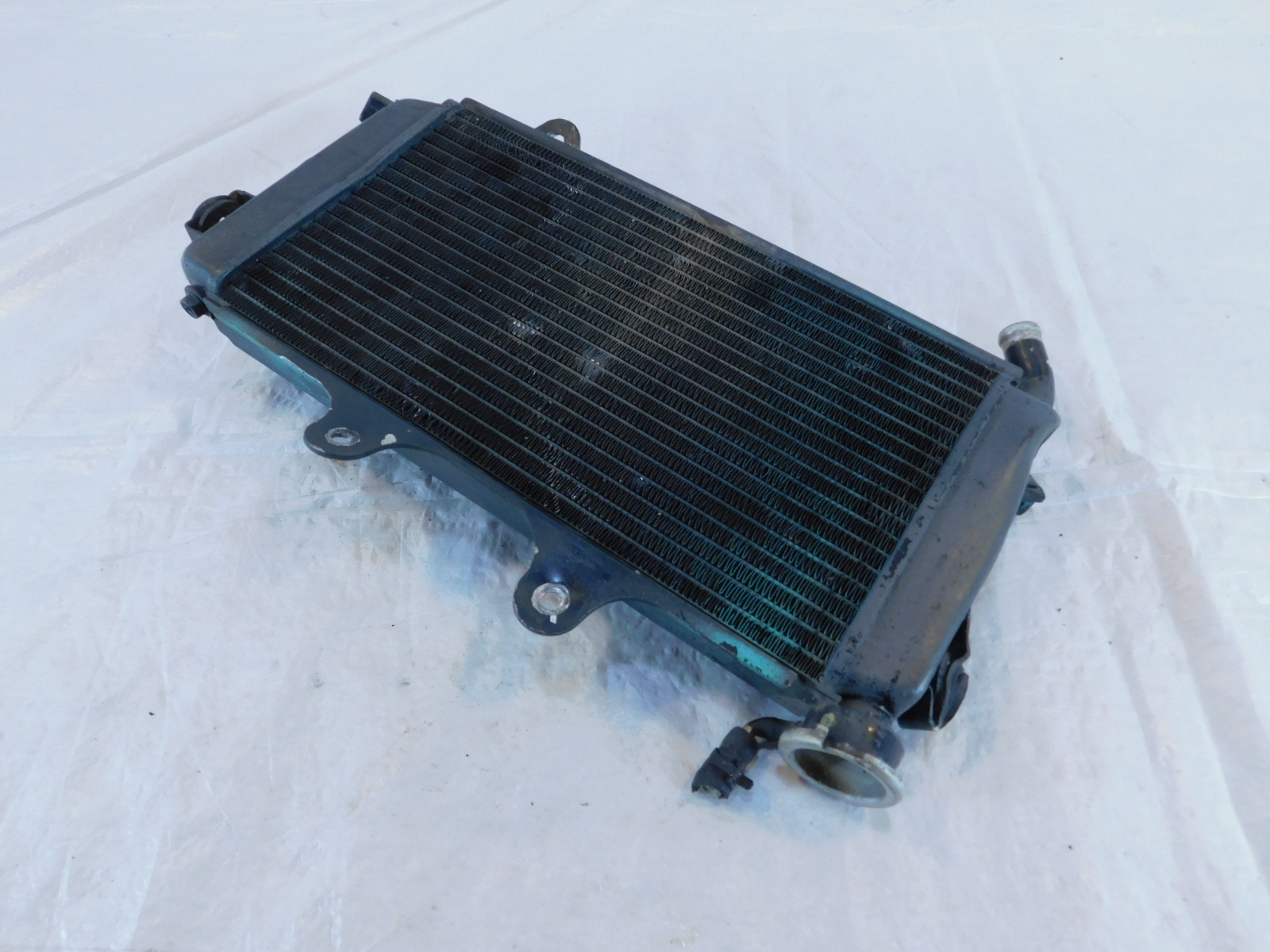 エジプトの7枚 ツタンカーメンの墓から盗まれた？ 盗品疑惑の「バッタ型」彫刻、約