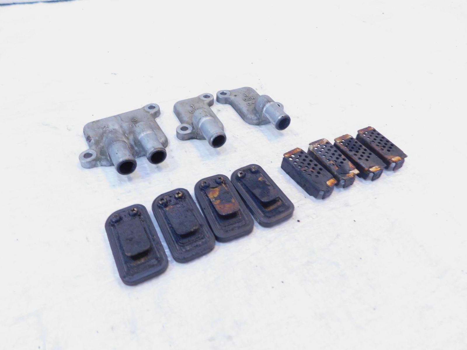 ライブ写真「4」 53521030.jpg