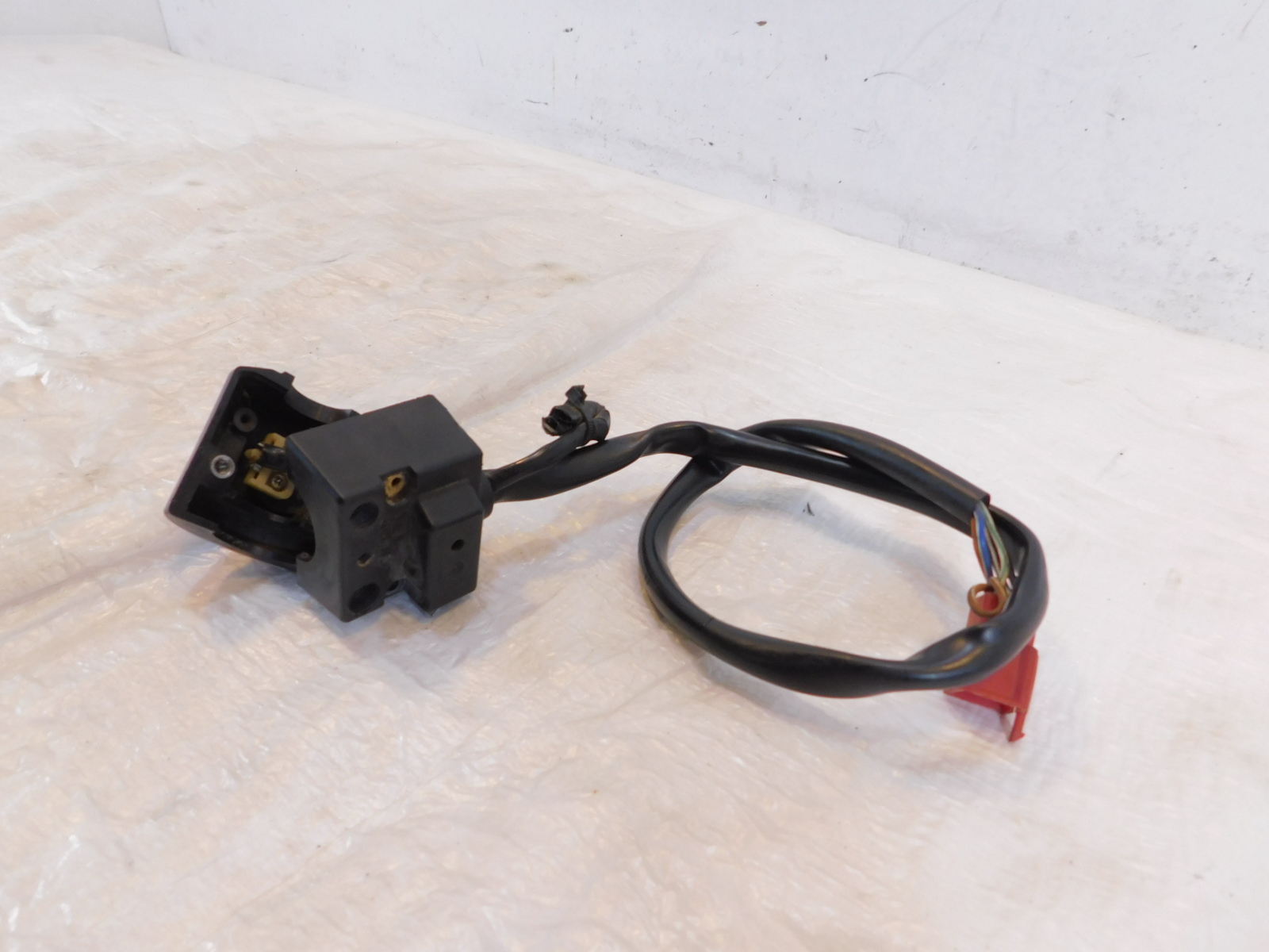 mine ‼️ 54622305.jpg